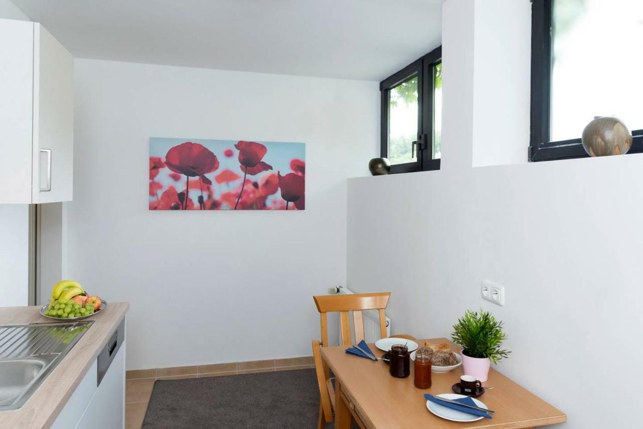 Bergblick Appartement - Odenwald pur! Ober-Hambach Exterior foto
