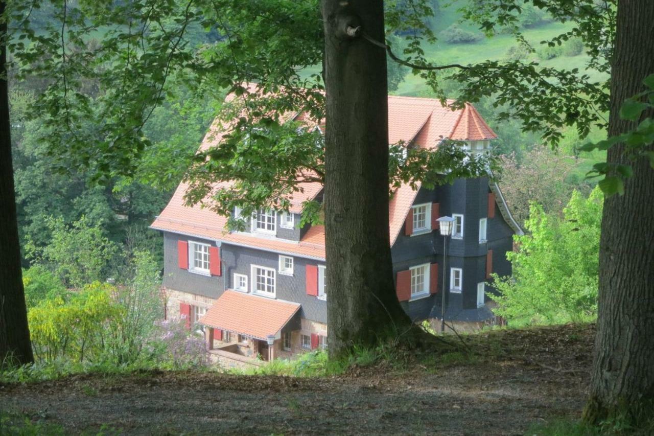 Bergblick Appartement - Odenwald pur! Ober-Hambach Exterior foto