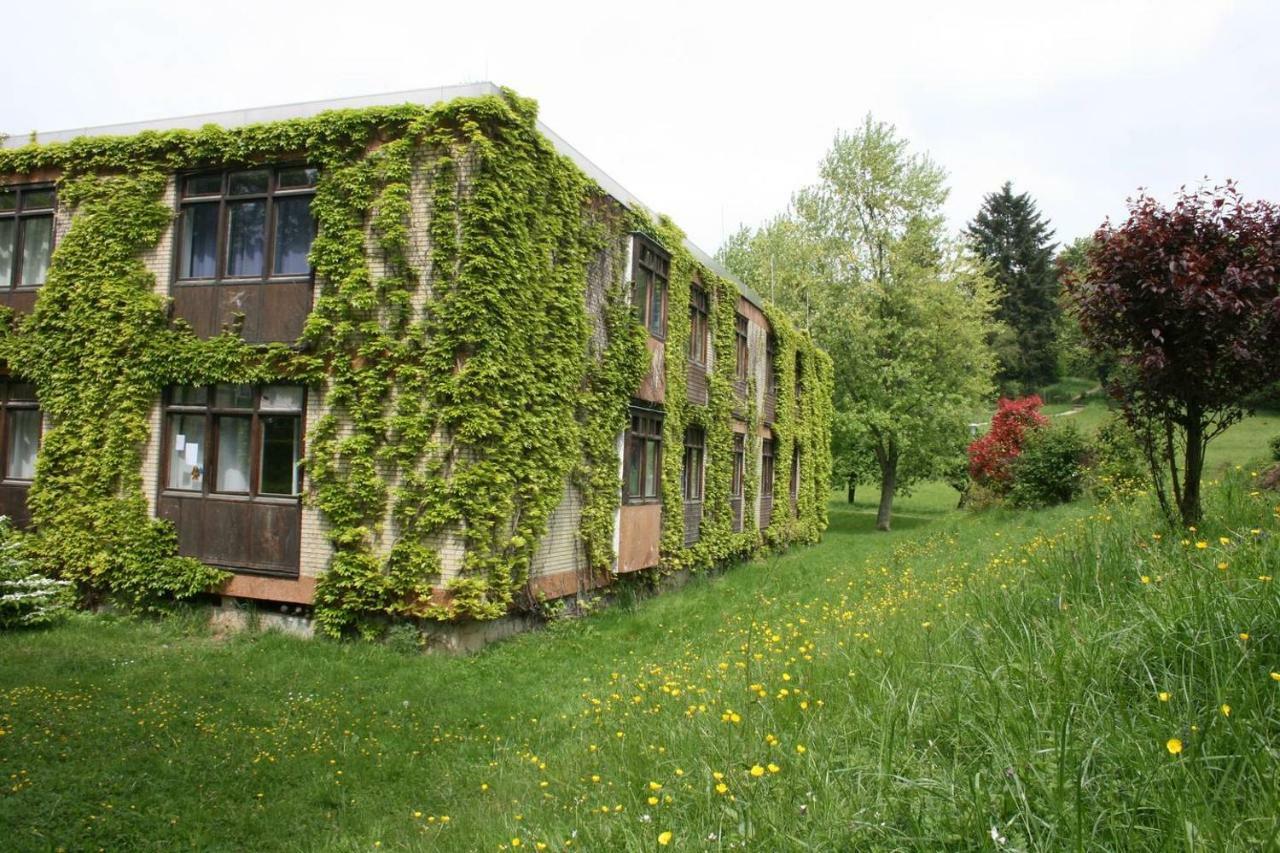 Bergblick Appartement - Odenwald pur! Ober-Hambach Exterior foto