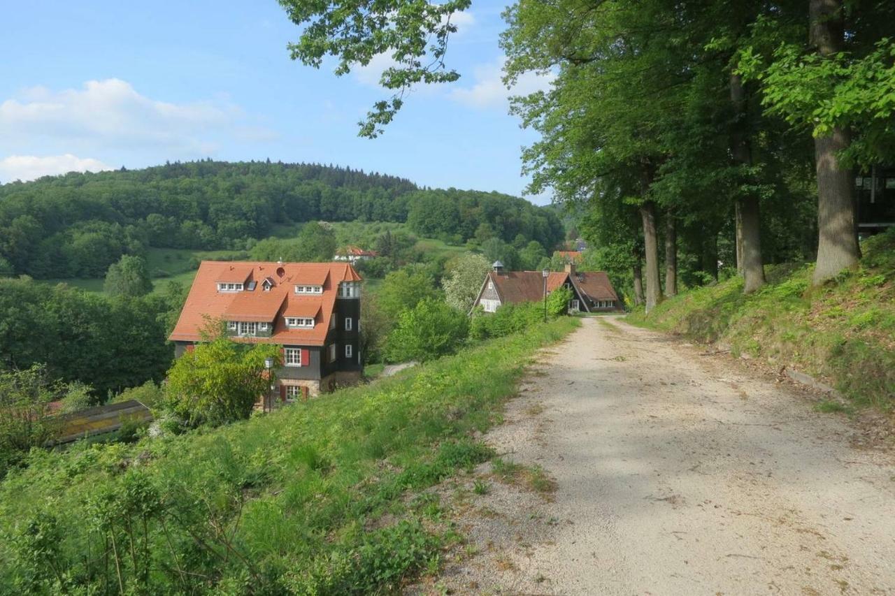 Bergblick Appartement - Odenwald pur! Ober-Hambach Exterior foto
